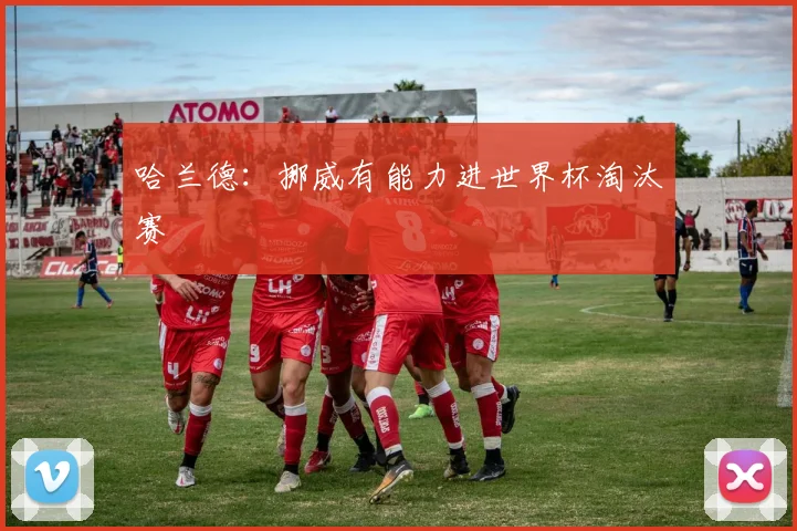 哈兰德：挪威有能力进世界杯淘汰赛